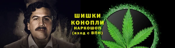 гидра Володарск