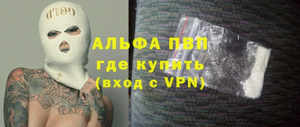 гидра Володарск